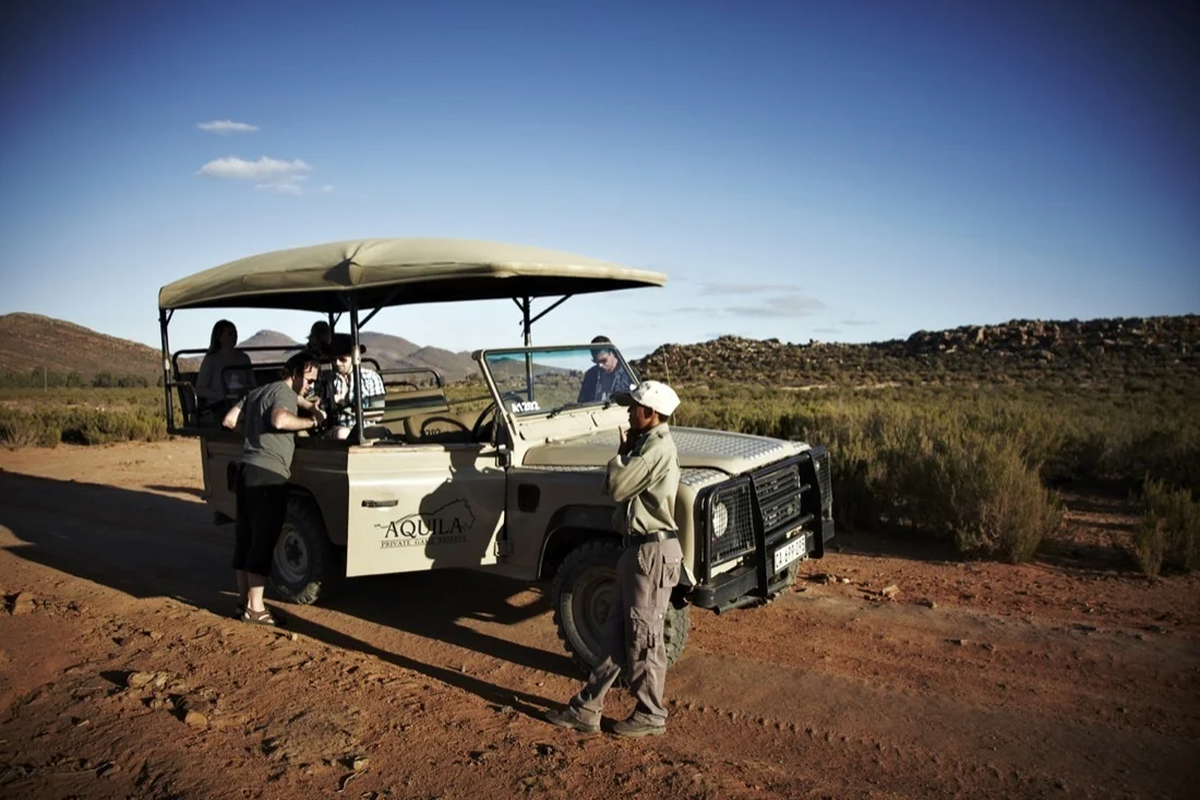 Safari Stills-061.jpg