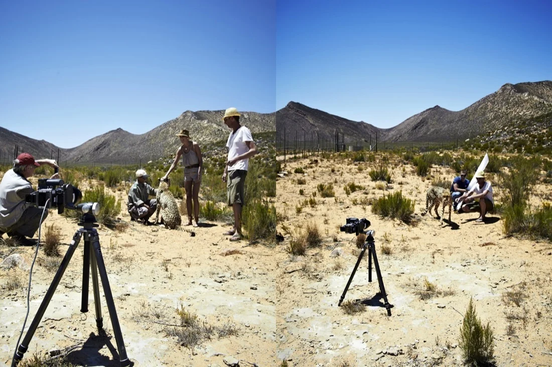Safari Stills-091.jpg