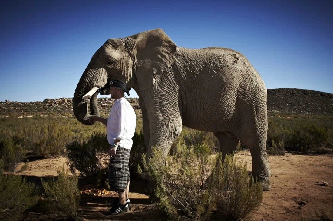 Safari Stills-112.jpg