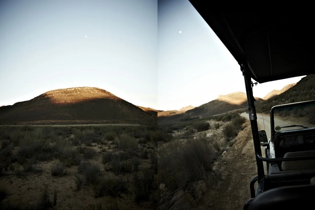 Safari Stills-169.jpg