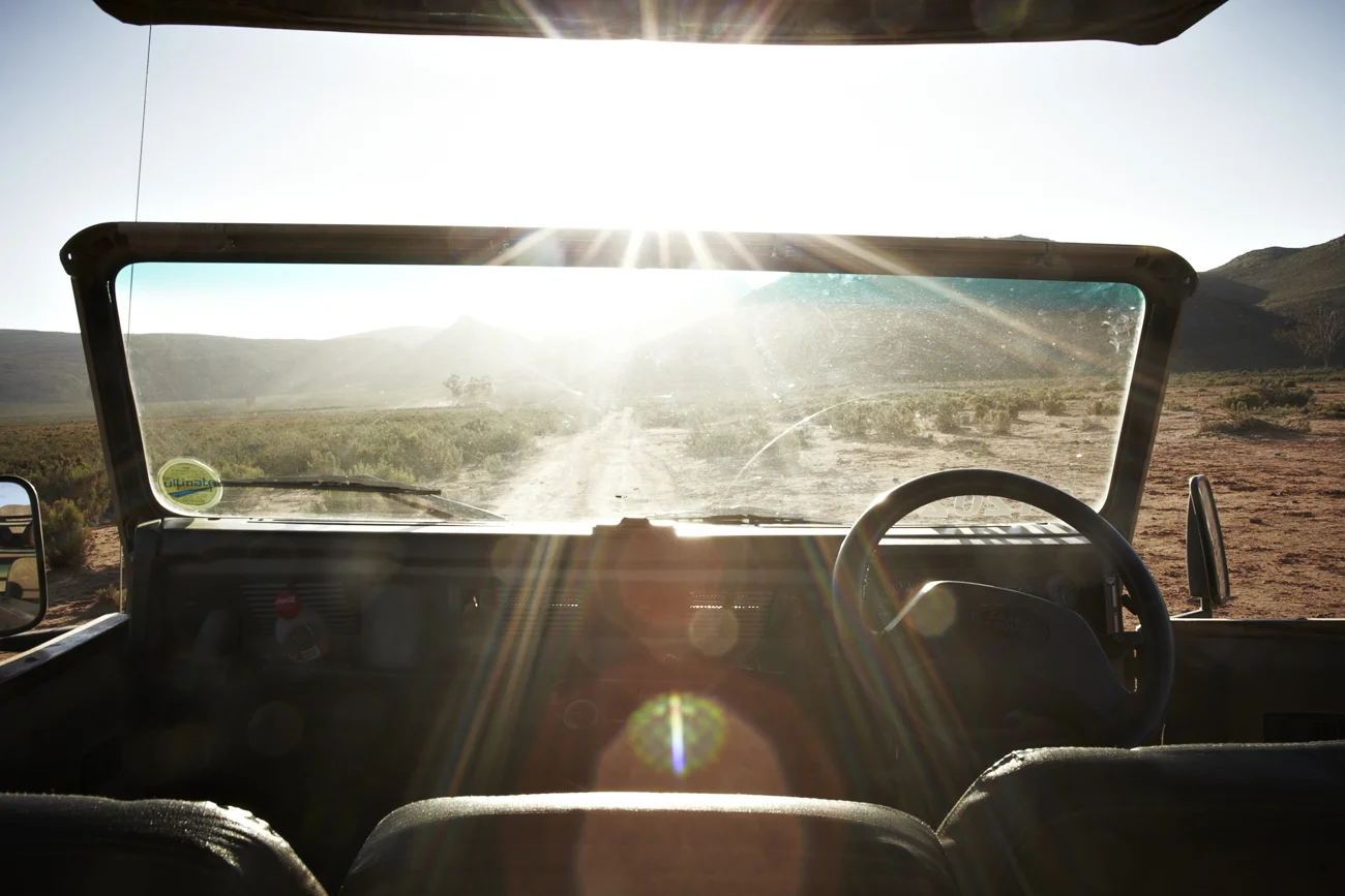 Safari Stills-065.jpg