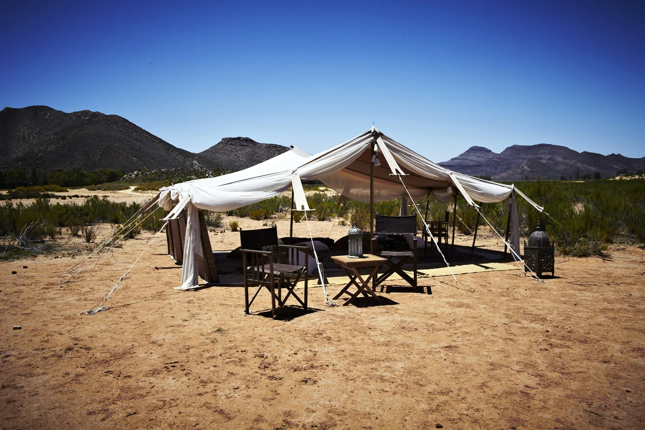 Safari Stills-086.jpg