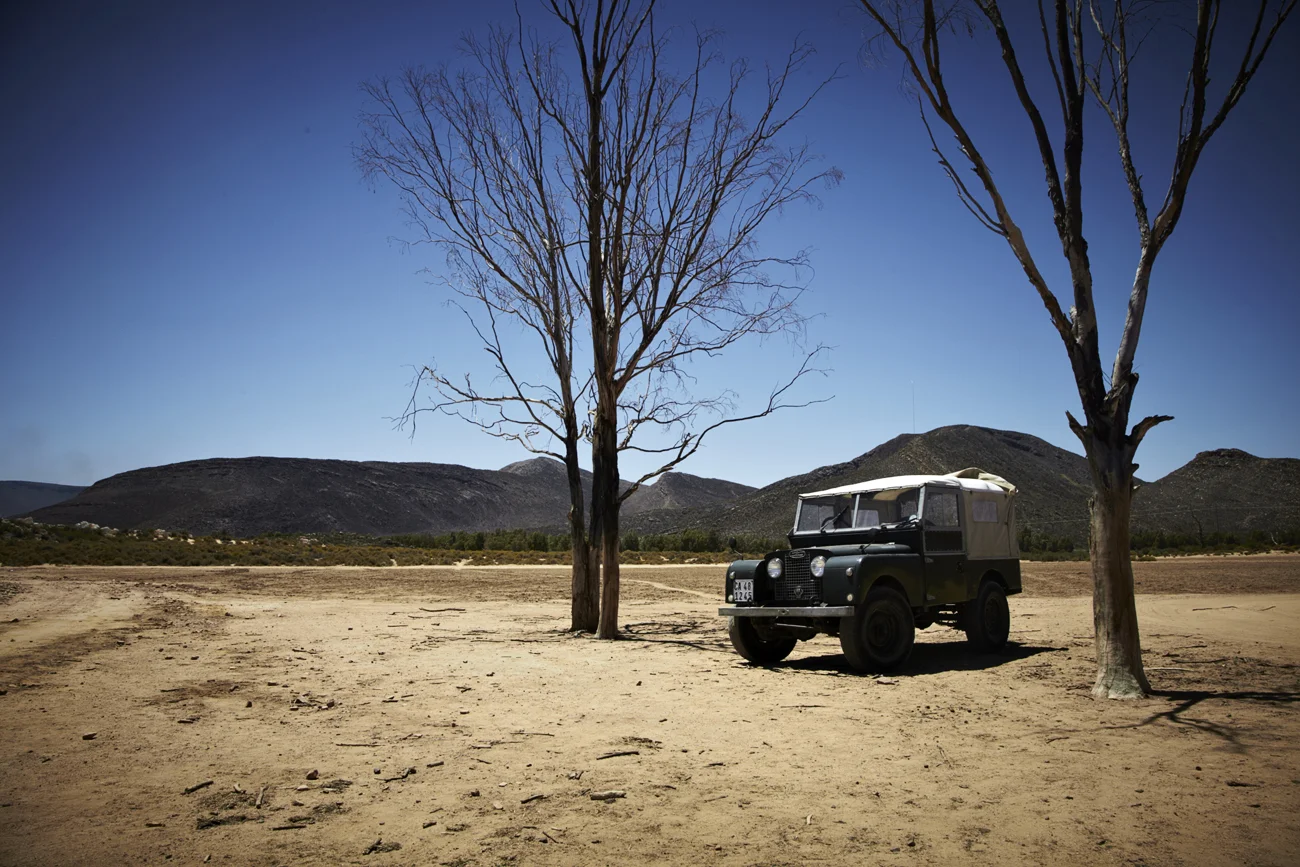 Safari Stills-138.jpg