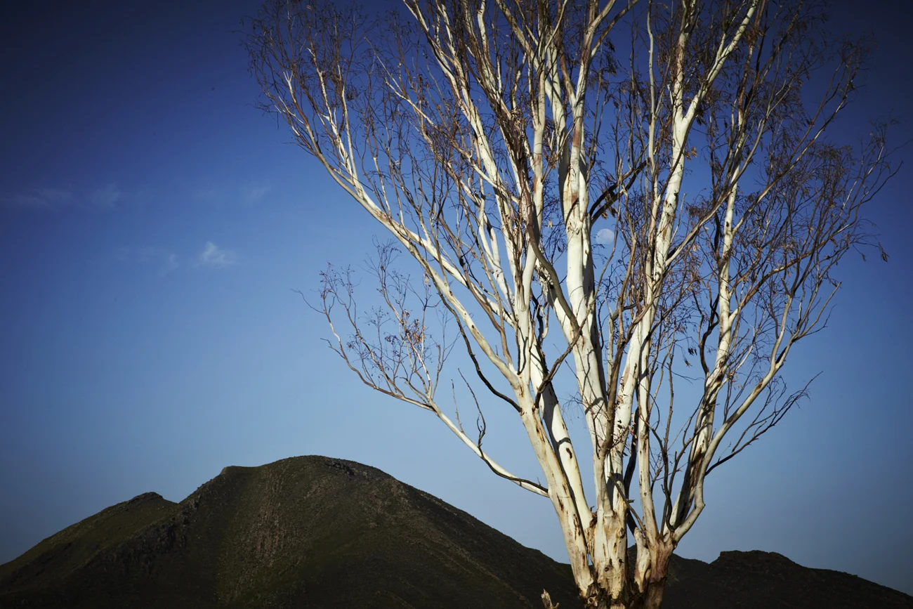 Safari Stills-144.jpg