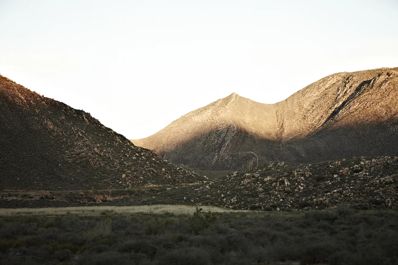Safari Stills-165.jpg