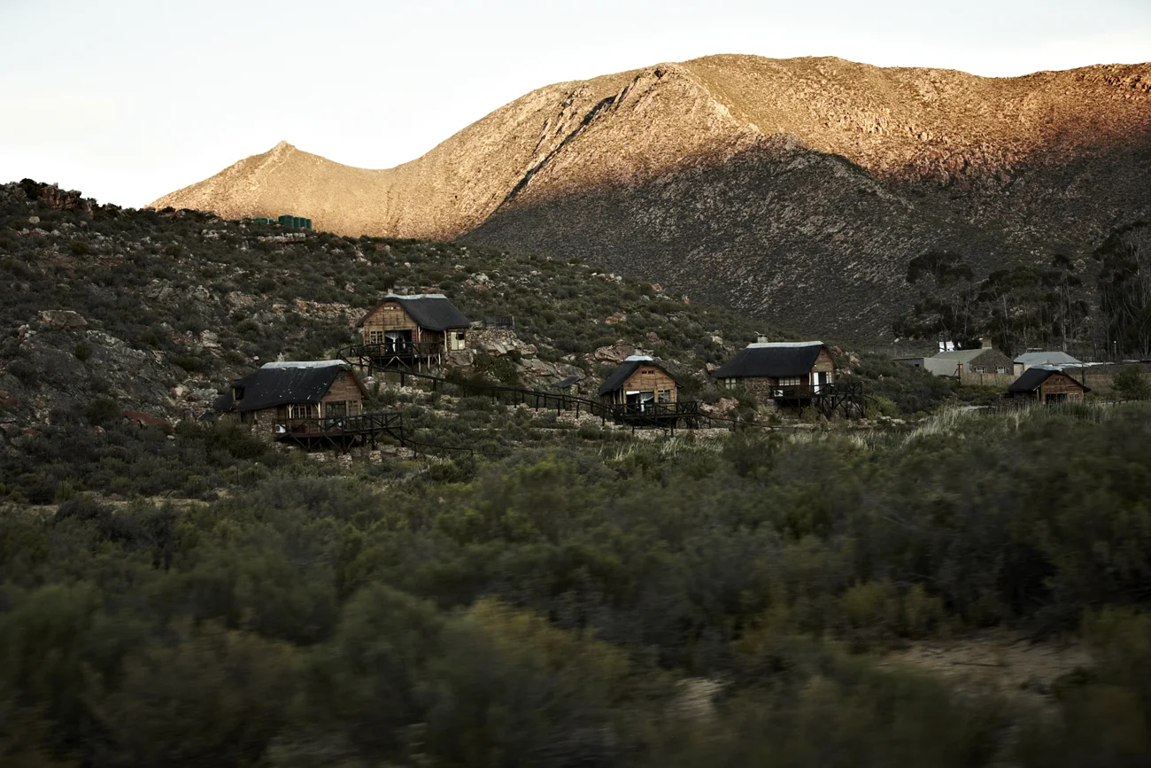 Safari Stills-167.jpg