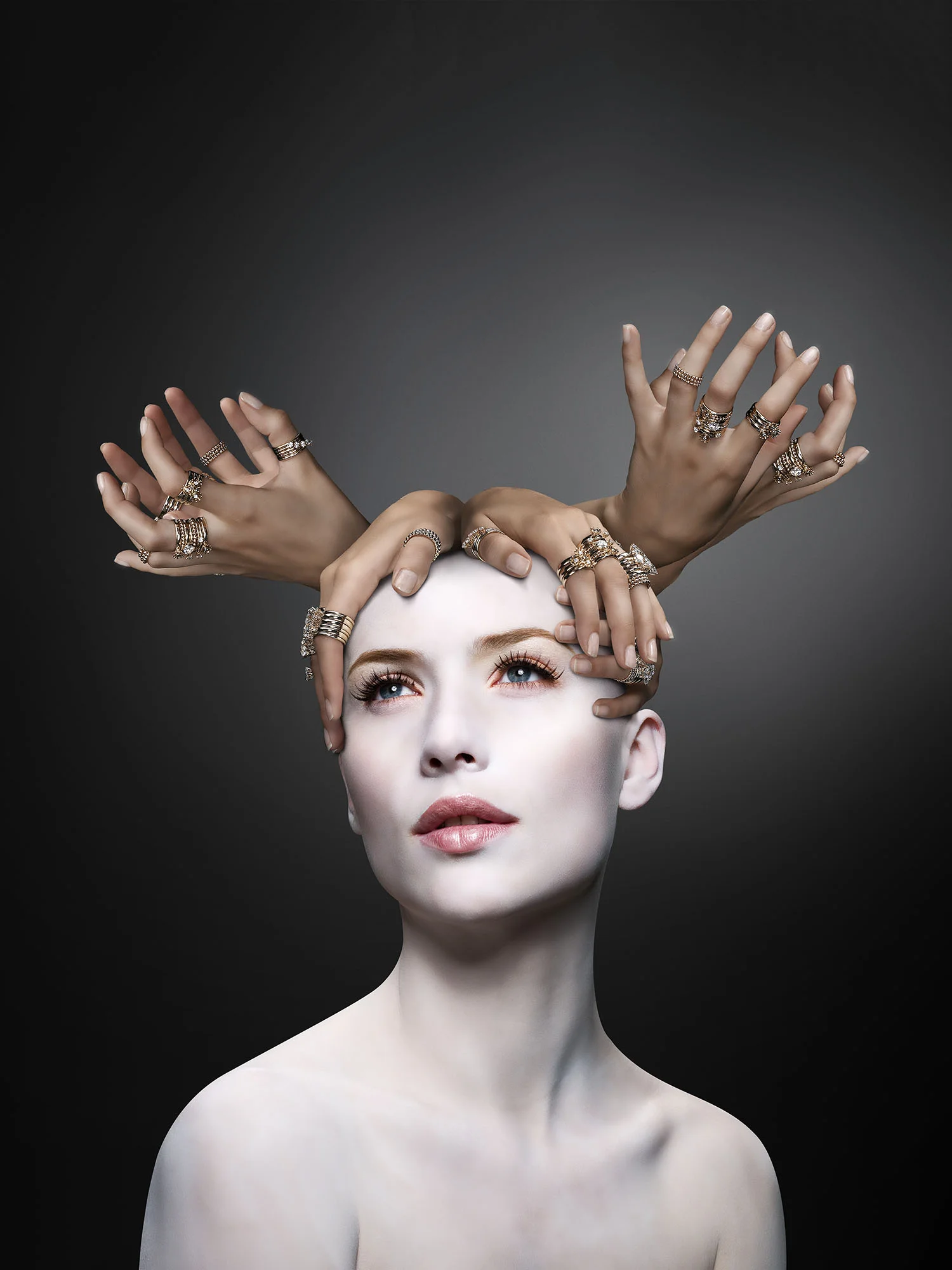 1139_moose_005.jpg
