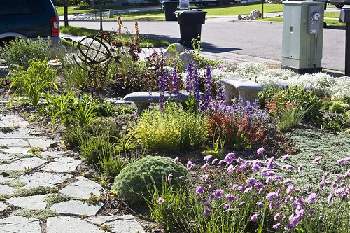 Xeriscape_729.jpg