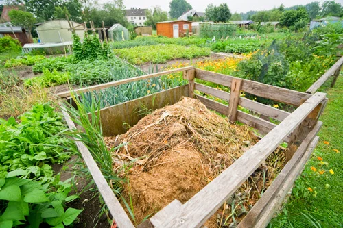 composting.jpg