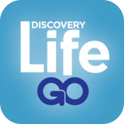 Discovery Life