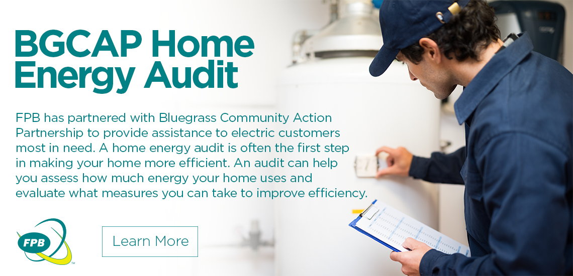 energy audit banner BGCAP.png