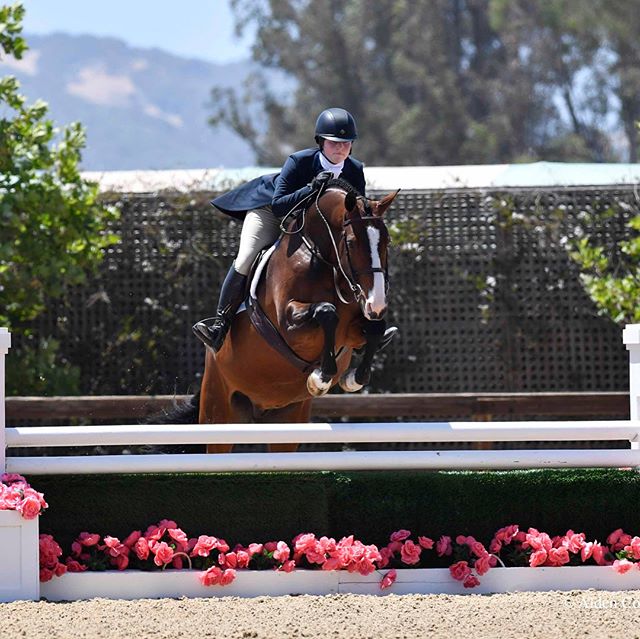 We are so proud of Talia Schonberger!! She just graduated from high school, going to college next year and is riding like a rockstar. 
A few of her results from the Sonoma Horse Park Horse Show include... 1st place in the 1.20 Jr/Am Jumpers with Bart