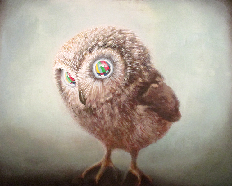 owlet (please stand by), mixed media on wood panel, 32x40