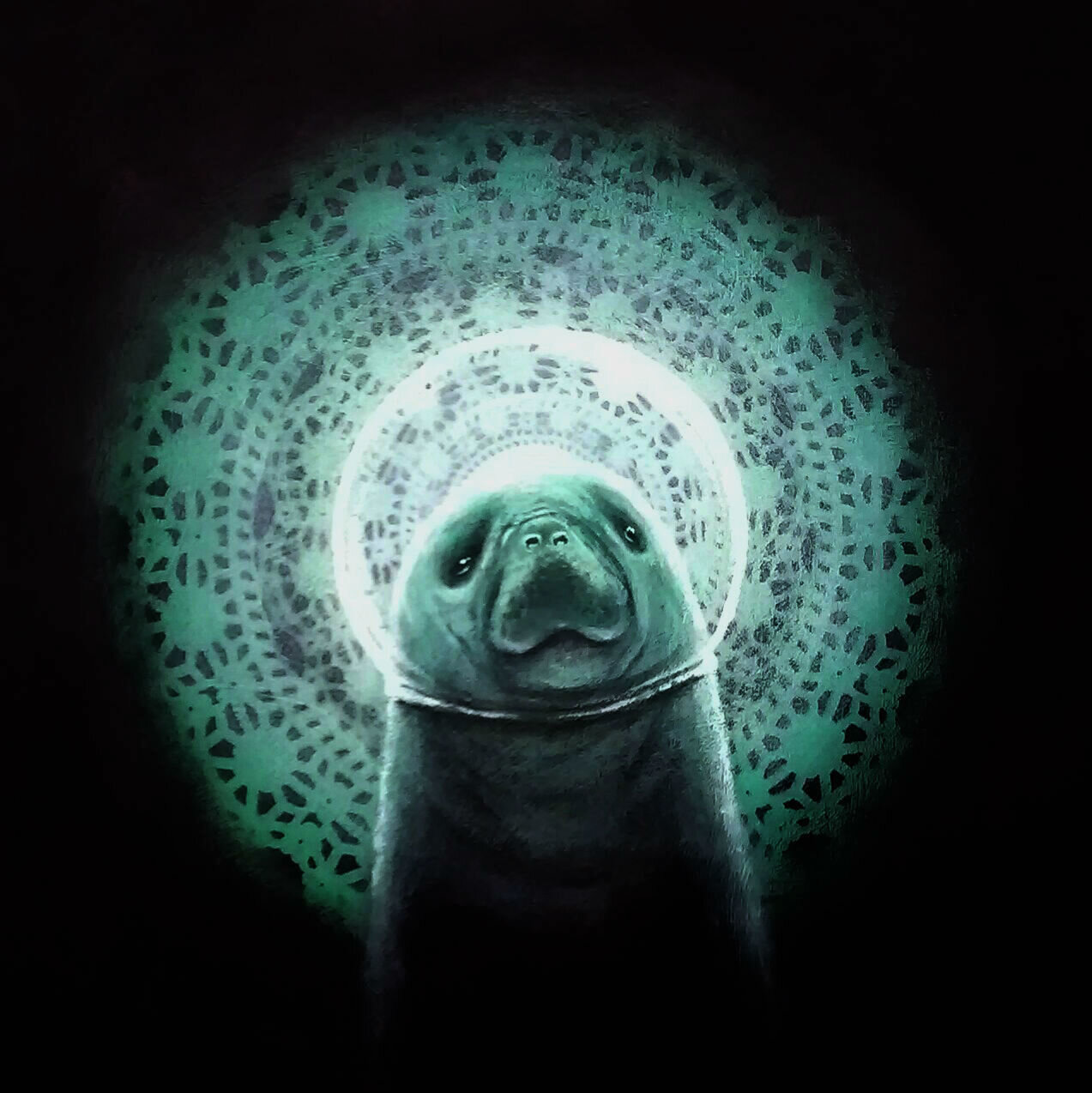 manatee in space mixed media on wood panel 16x16