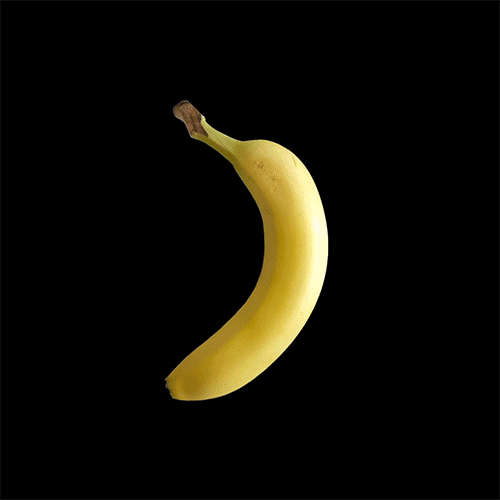 Banana_for_scale2.gif