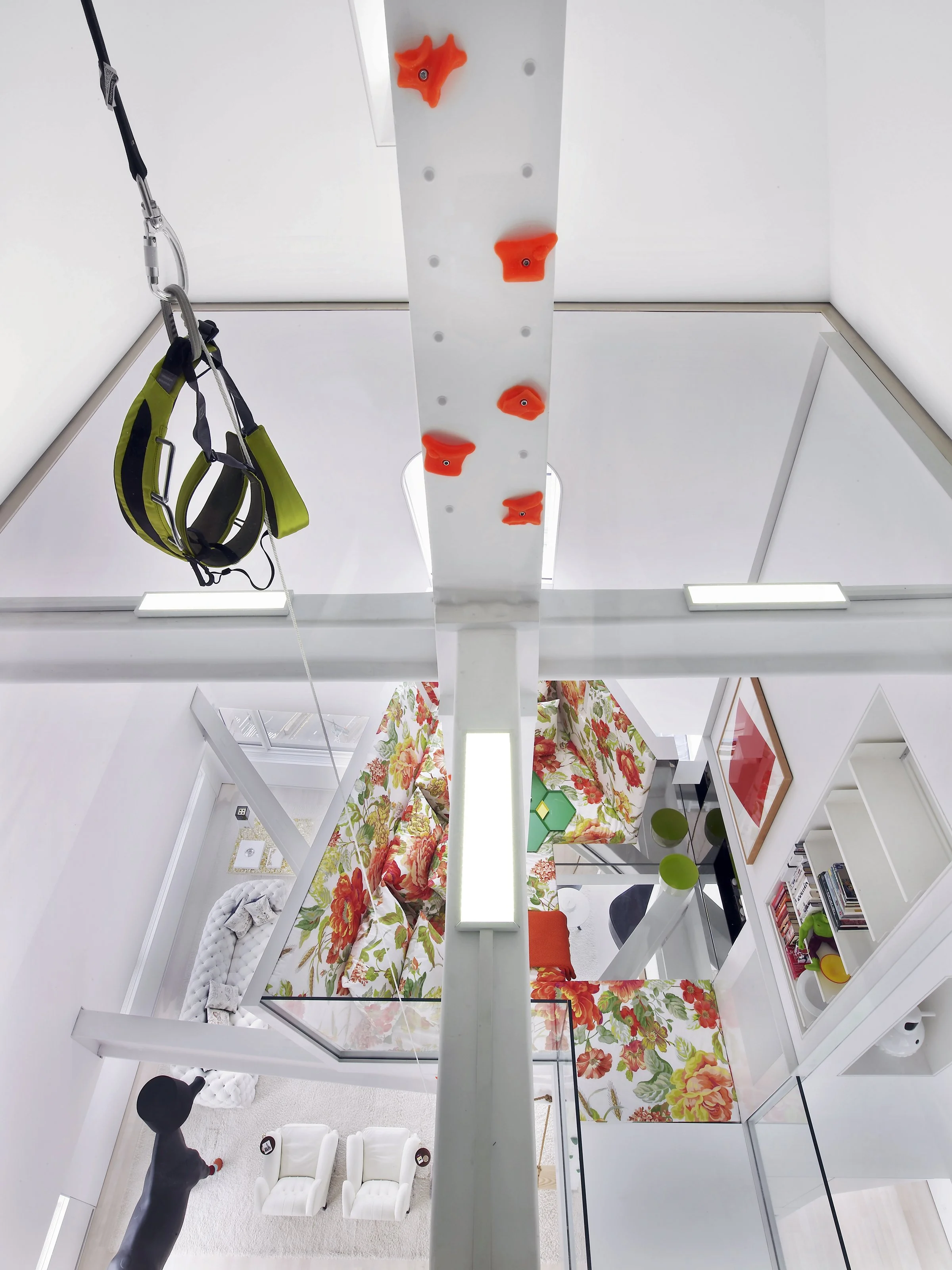 hotson_skyhouse_K3_nest_from-attic_2400.jpg