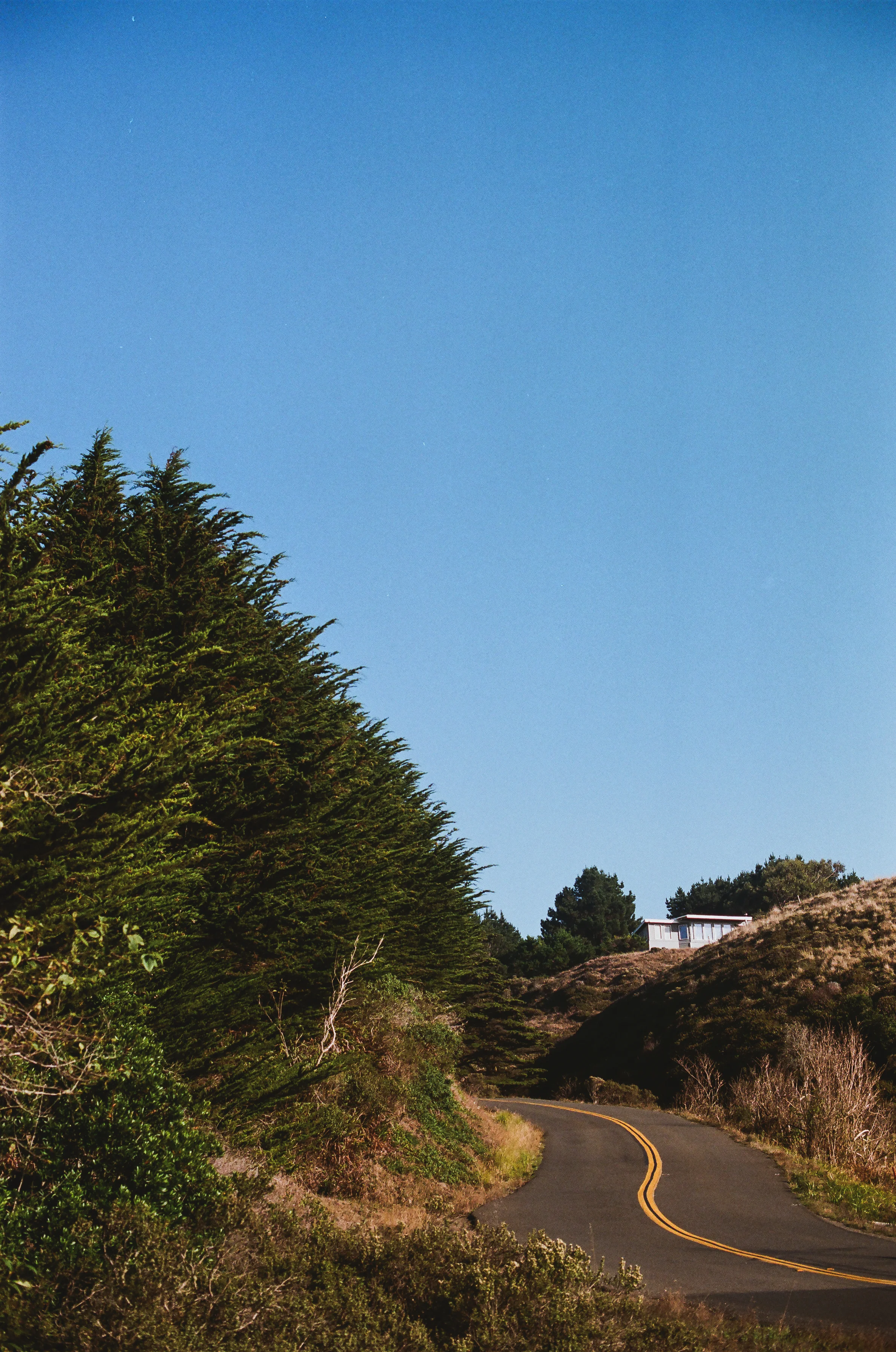 01-012.jpg