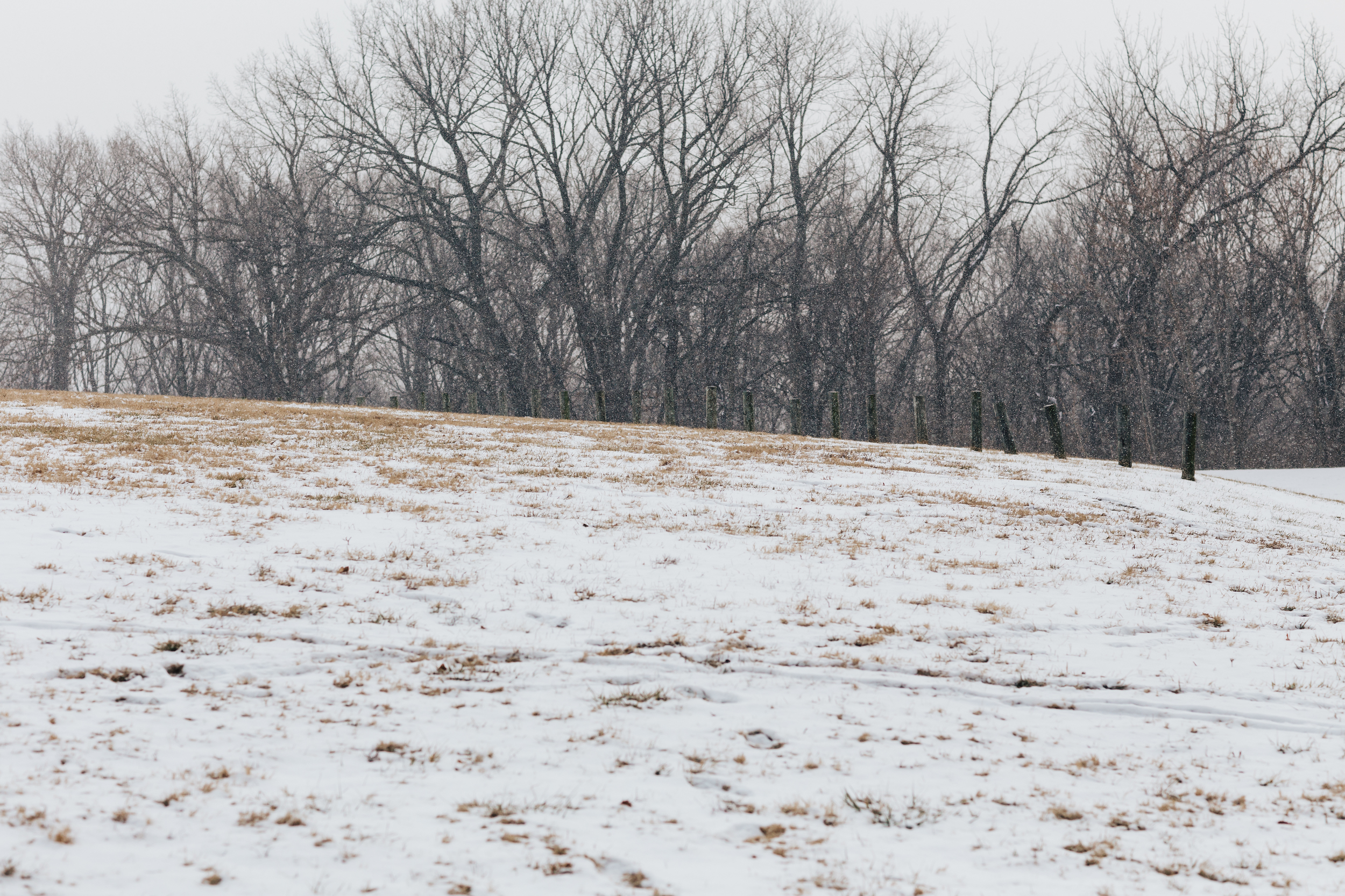  Winter's Engagement Session

�Kindling LLC 