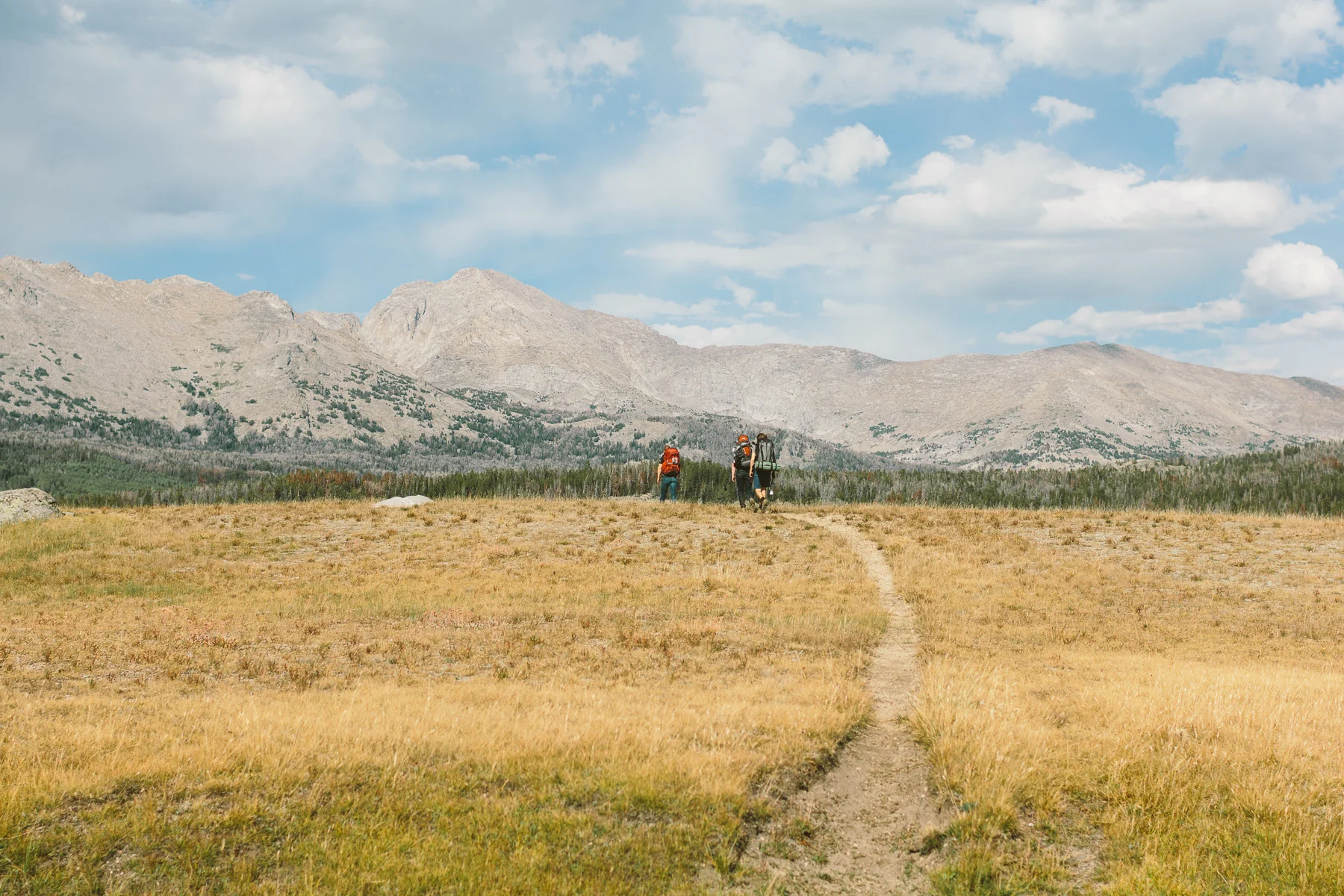 Wyoming 15.JPG