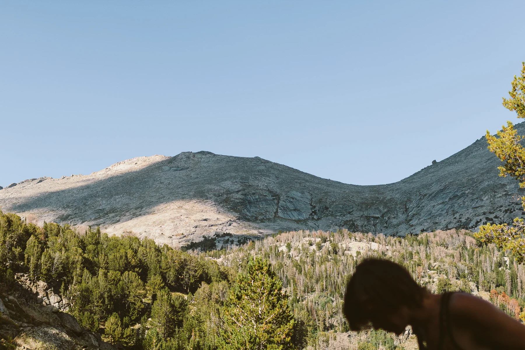 Wyoming 28.JPG