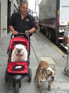 Image 44.jpg