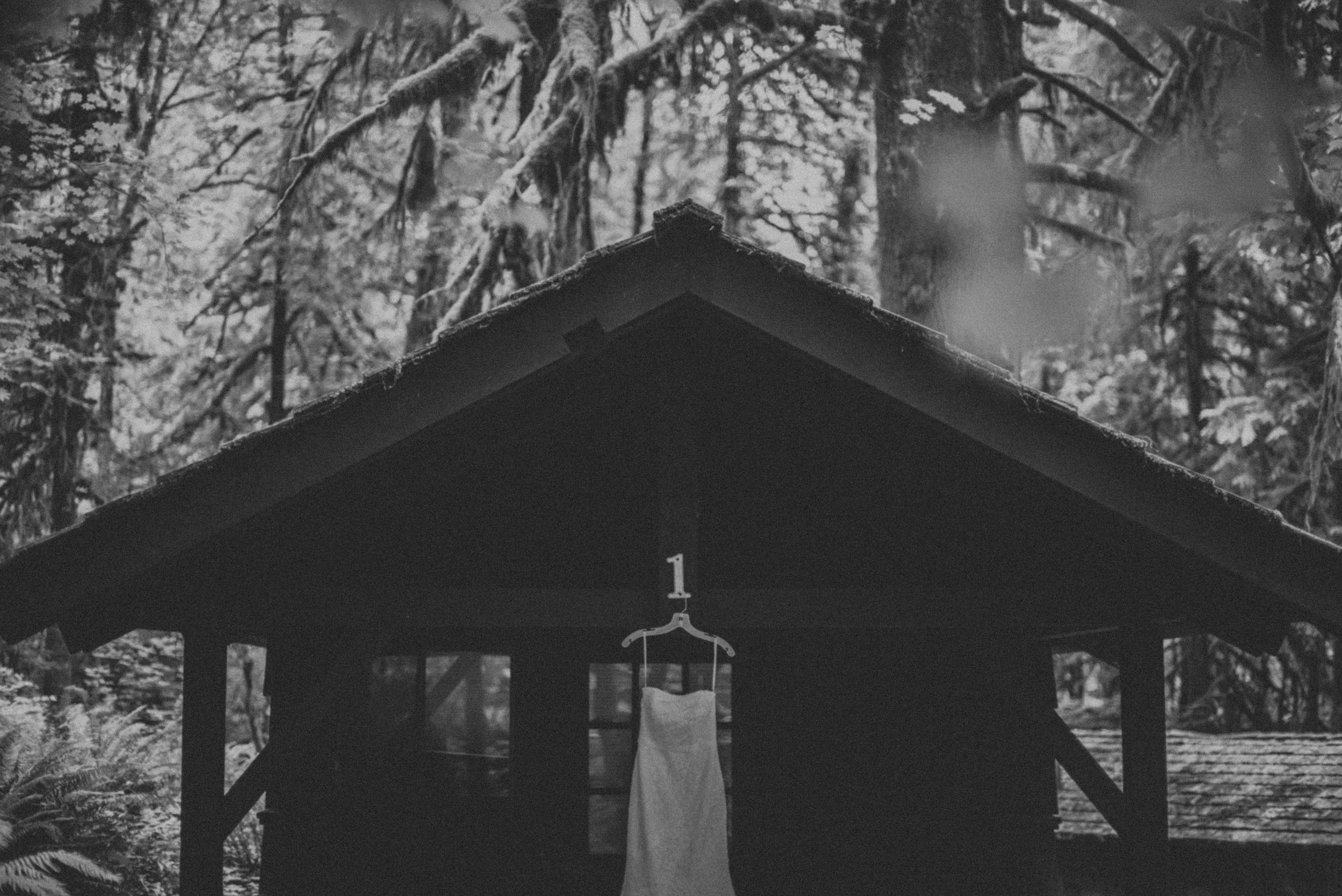 Lisa & Brendan's Silver Falls Wedding