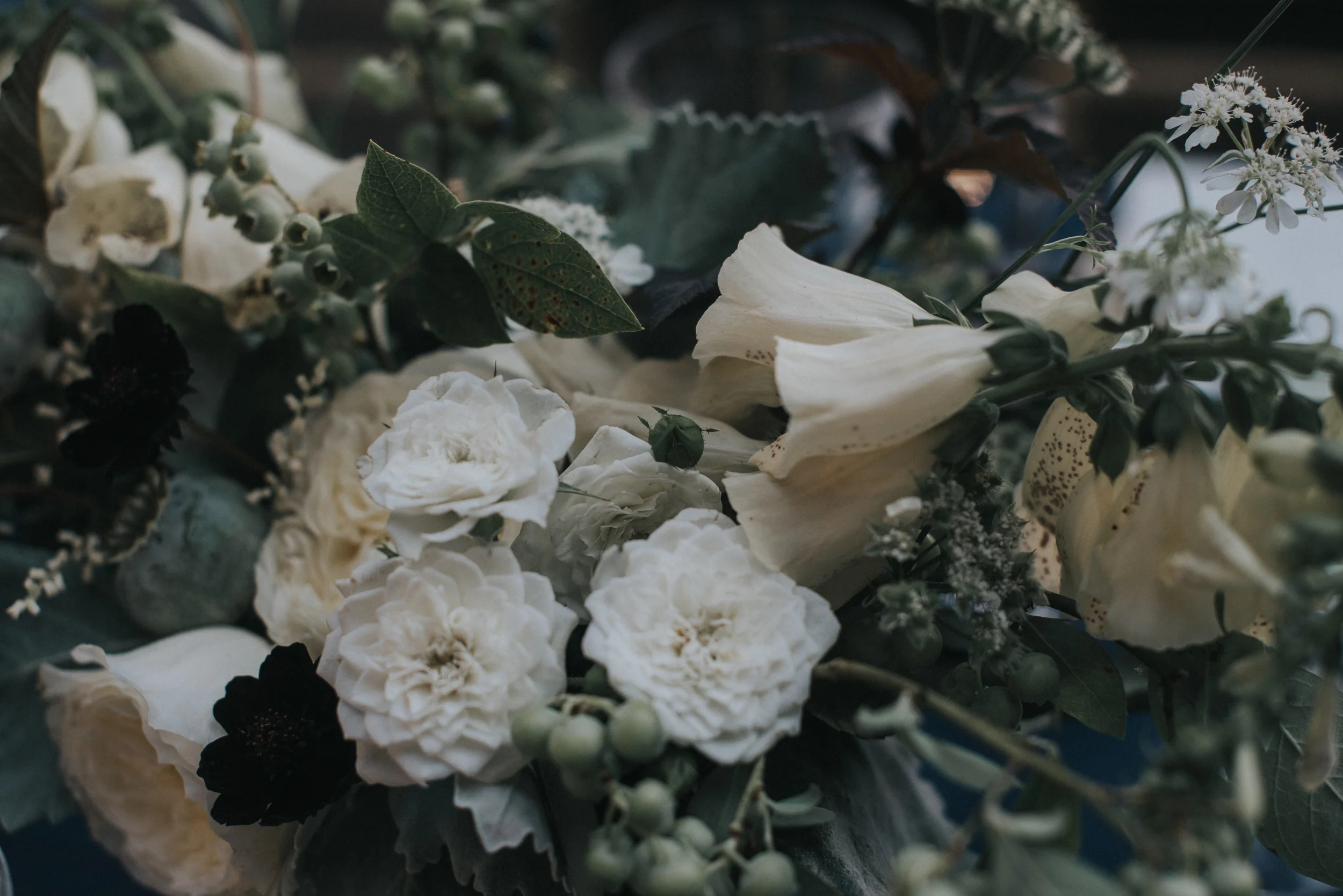 Elsa & Eugene Ballard Hotel Wedding