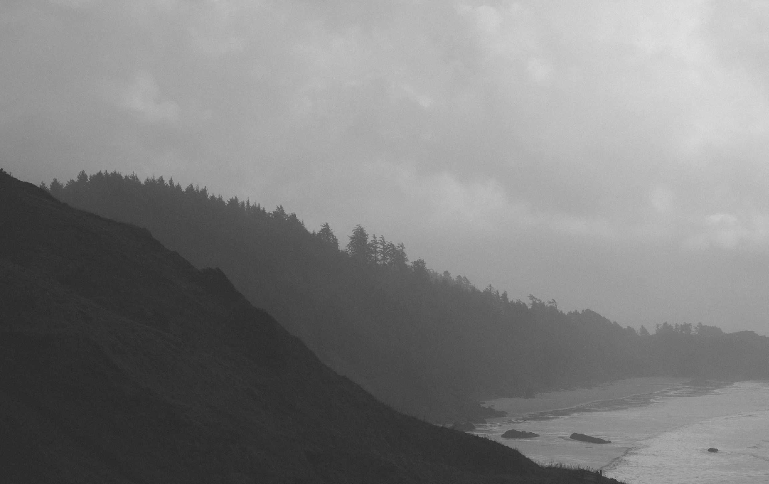 3cannonbeachwedding.jpg
