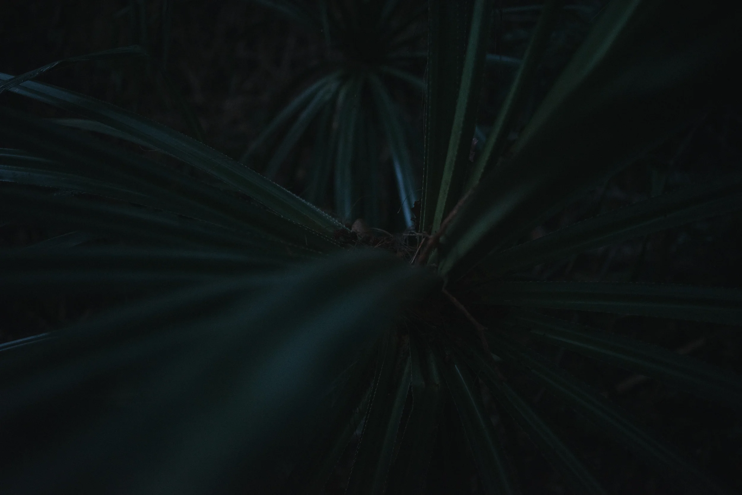 2EllieAsherphotography.jpg