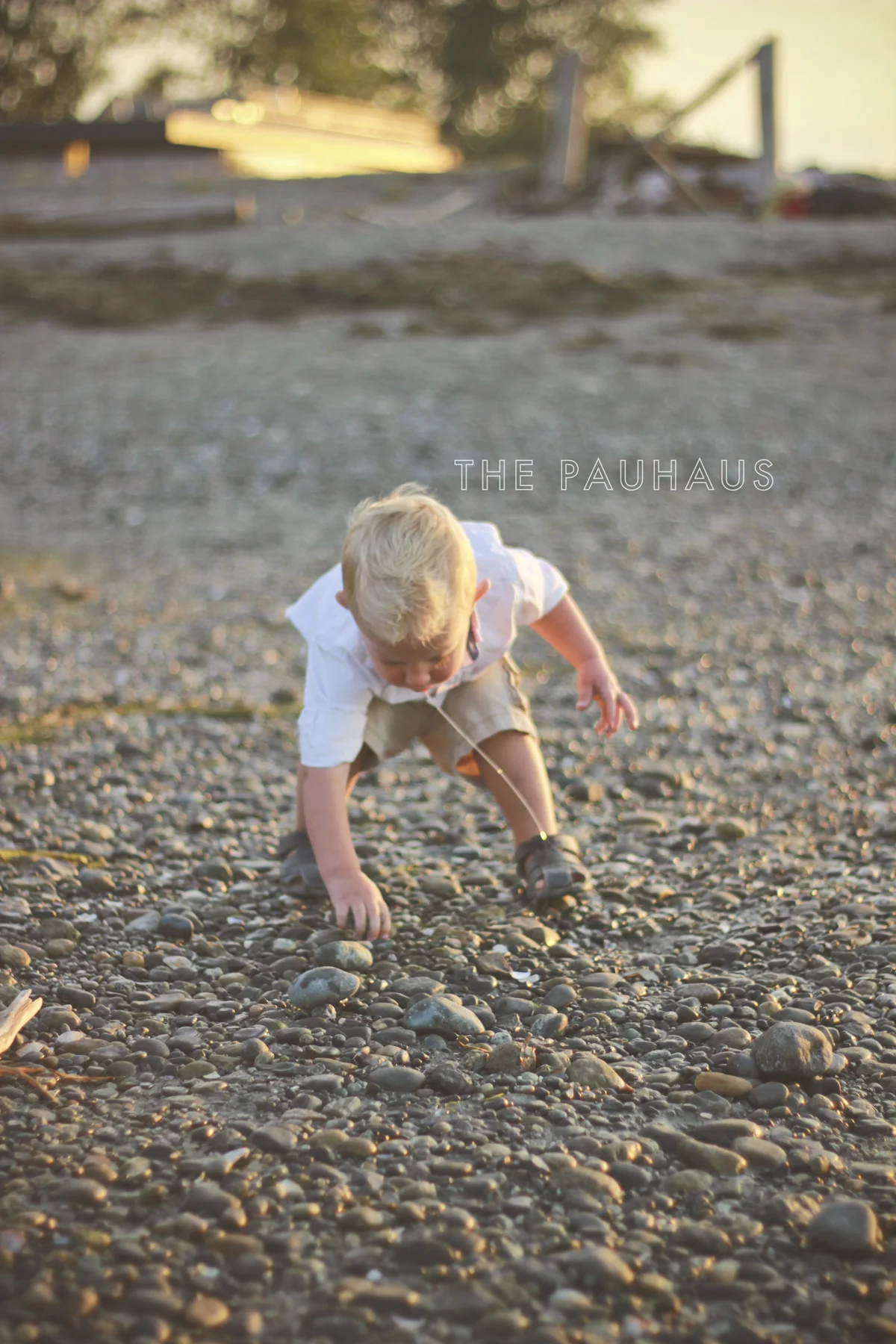 IMG_8198 web.jpg