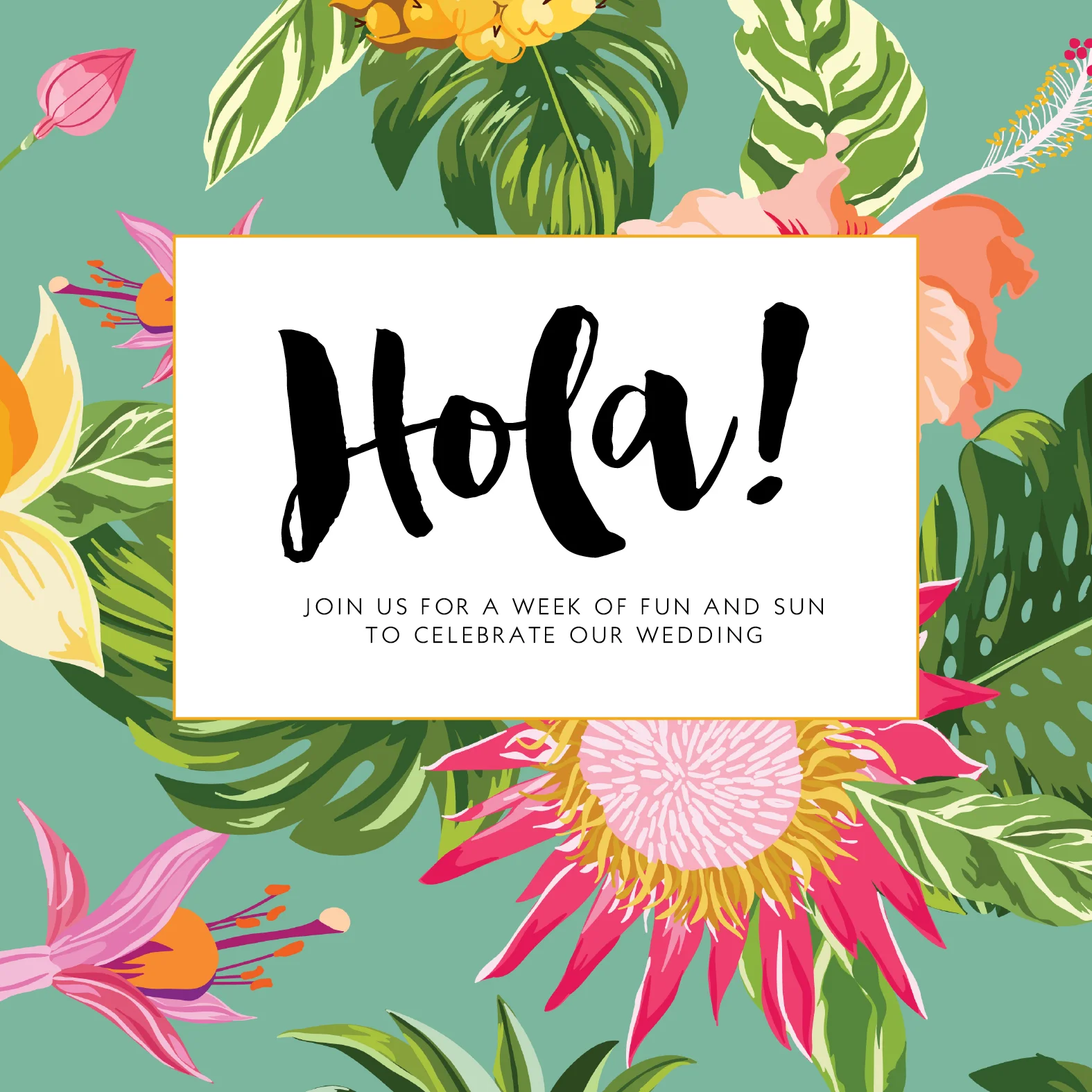 FINAL_HOLA.jpg