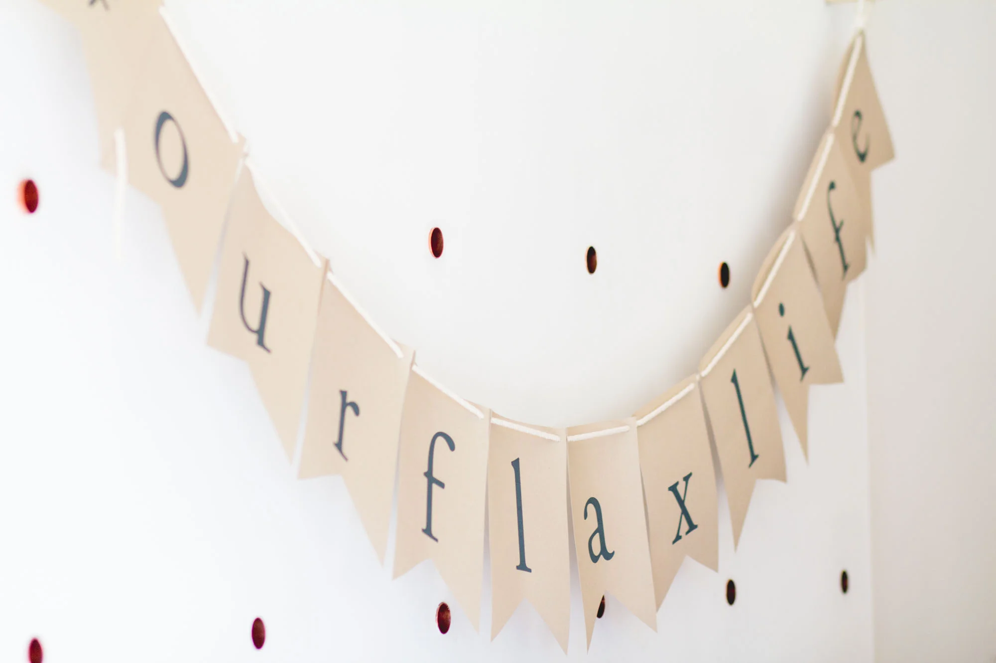 FlaxLaunch_002.jpg