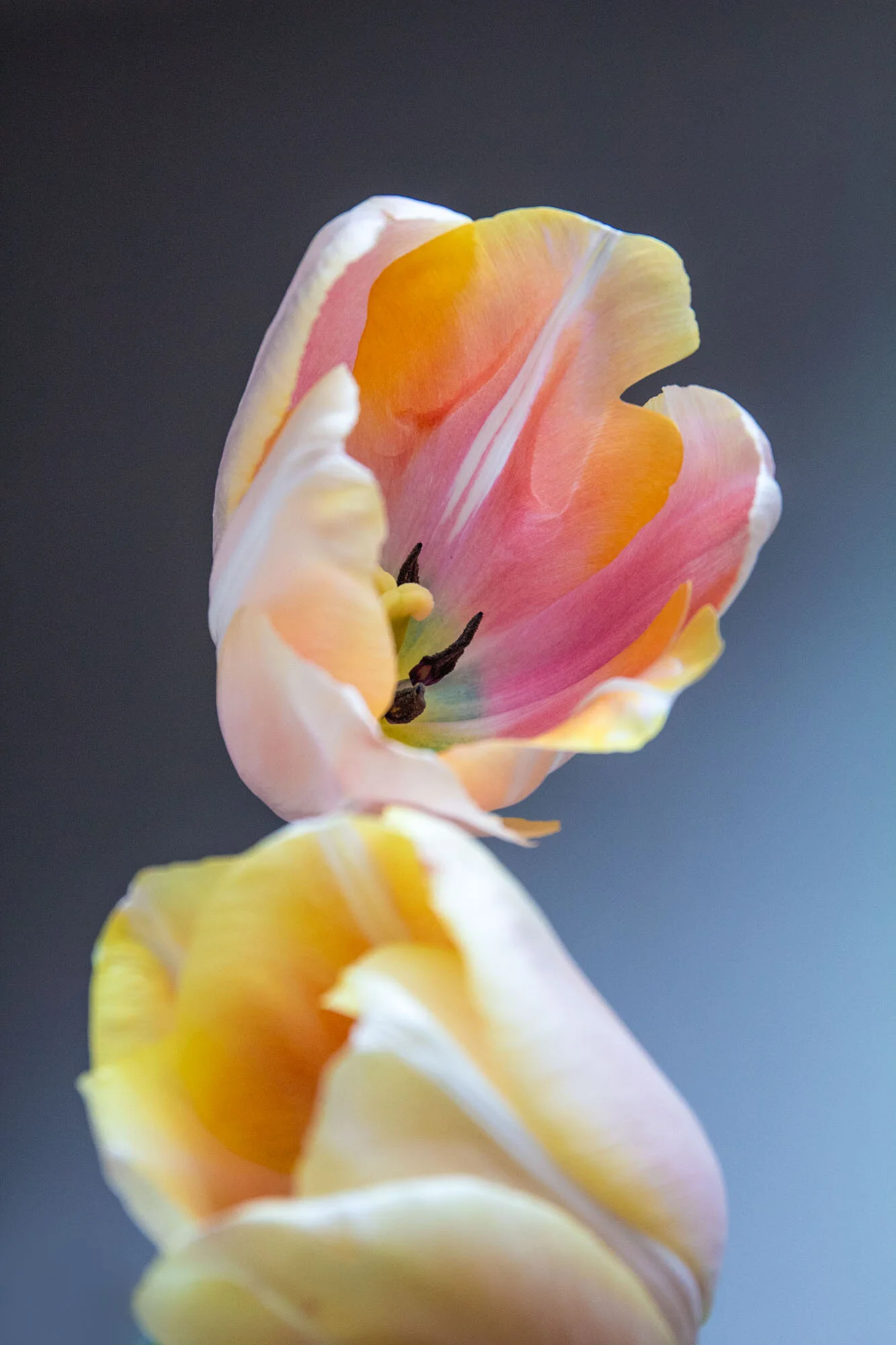 IMG_3721-Edit.jpg