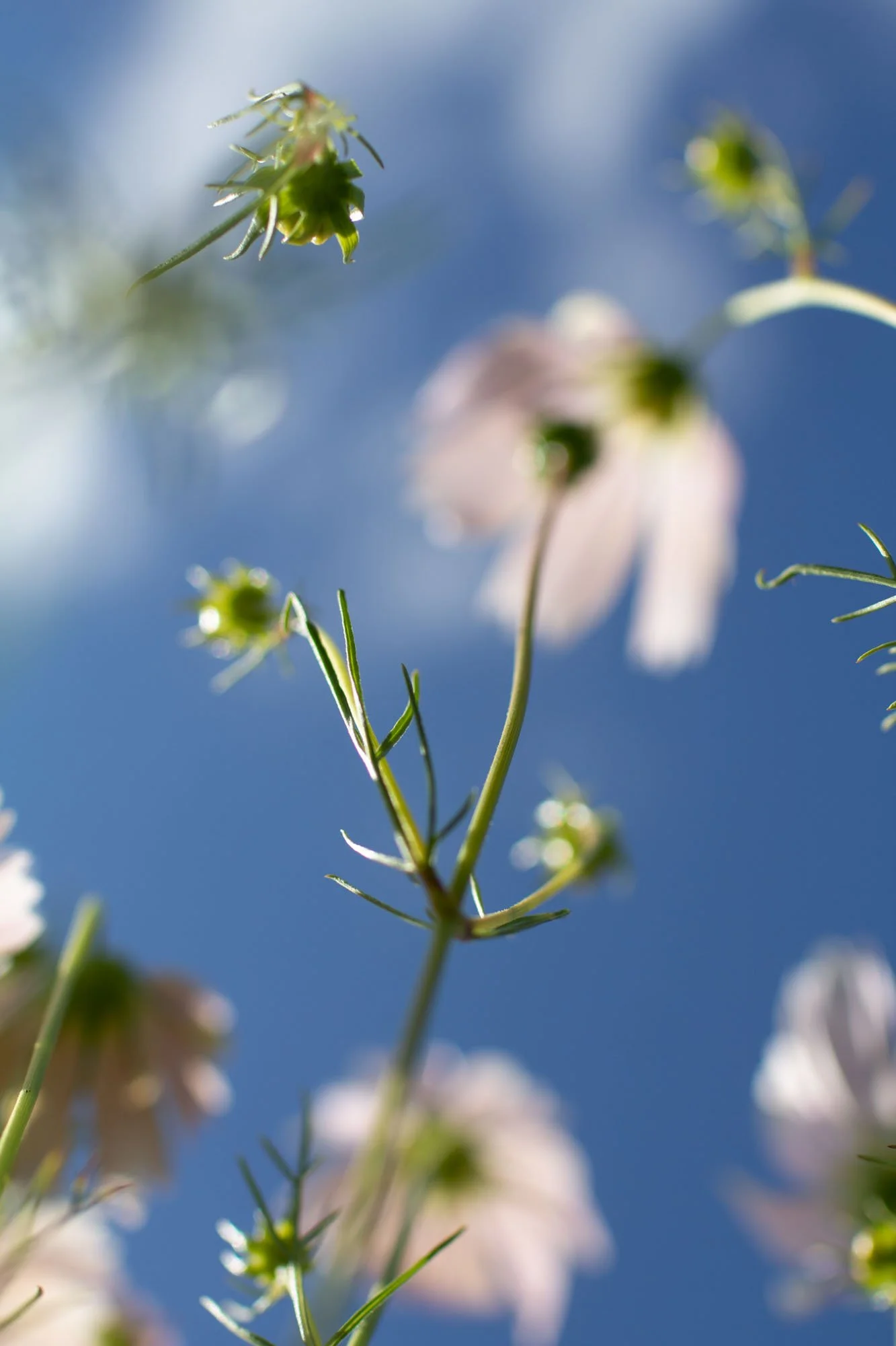 SH2021-0534-2.jpg