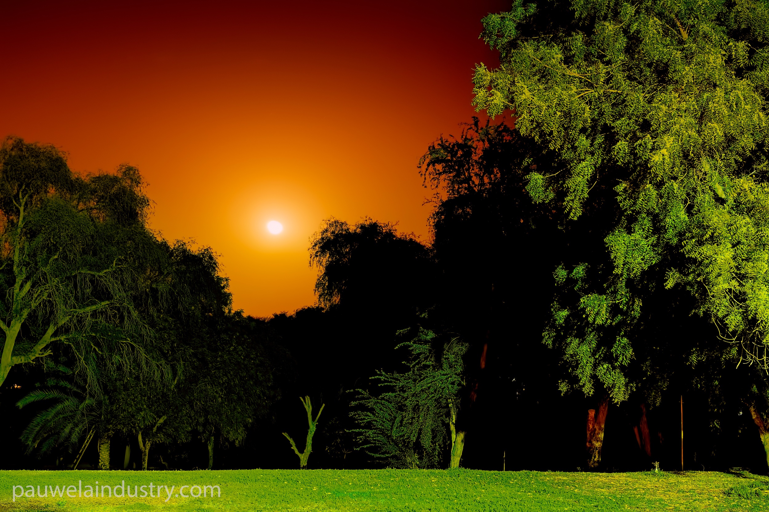  Moonrise in Al Awir at Ali's farm 