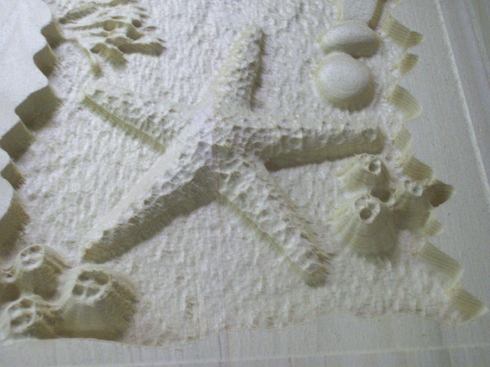 Close up of the starfish.
