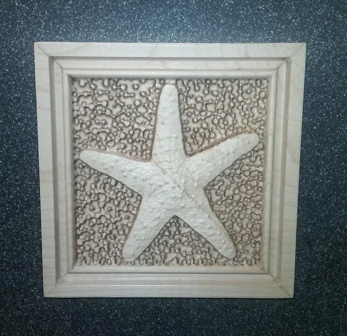 A starfish panel