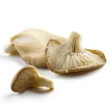 Oyster mushrooms