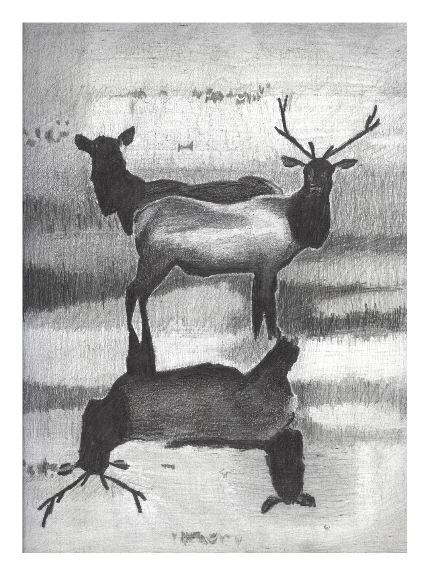 Deer