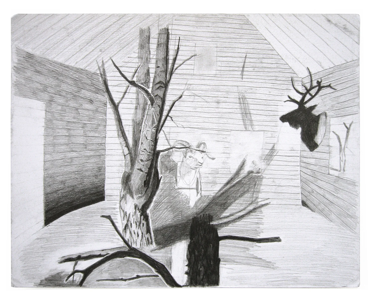 Taxidermy Room #1