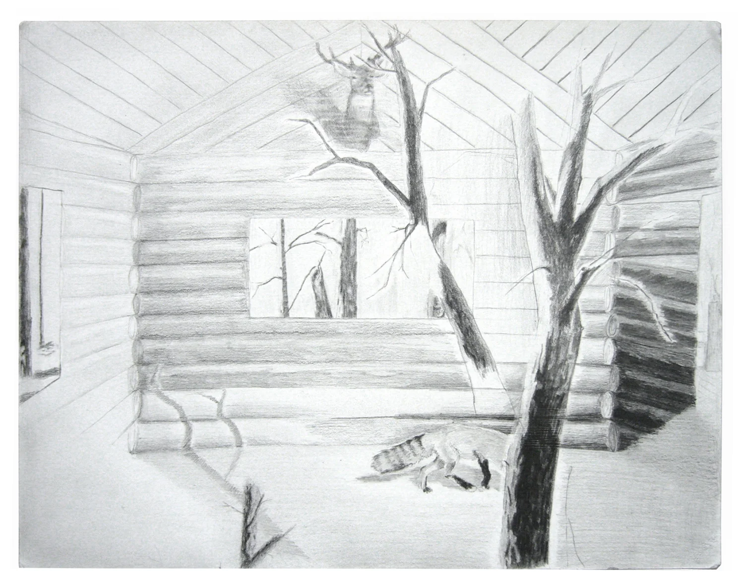 Taxidermy Room #2