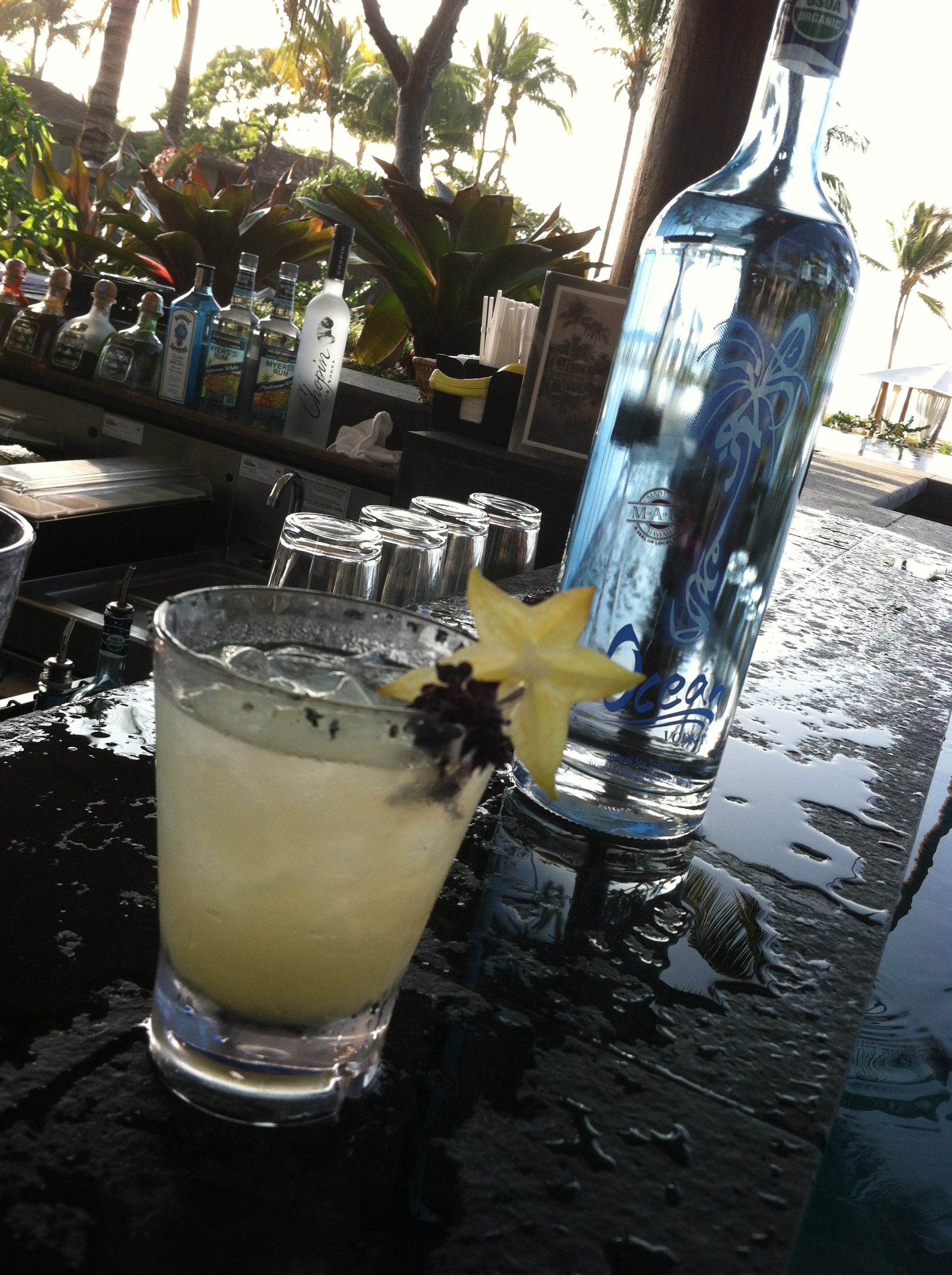 Pics from Jan- March 2012 394 - Copy.JPG