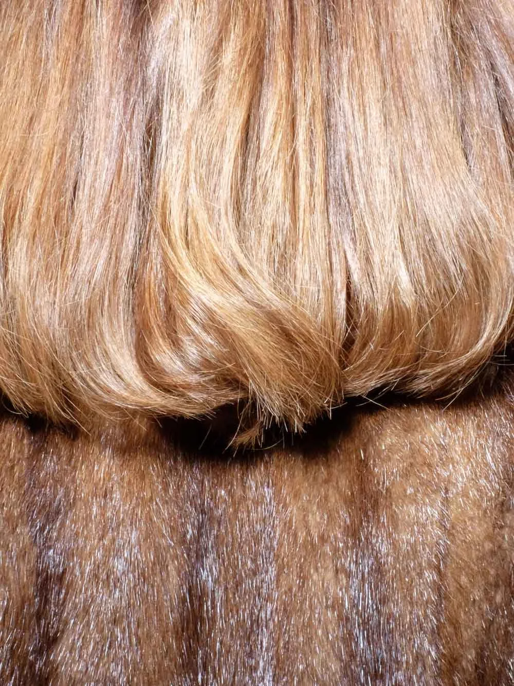 EA_DogShow_200_7.jpg