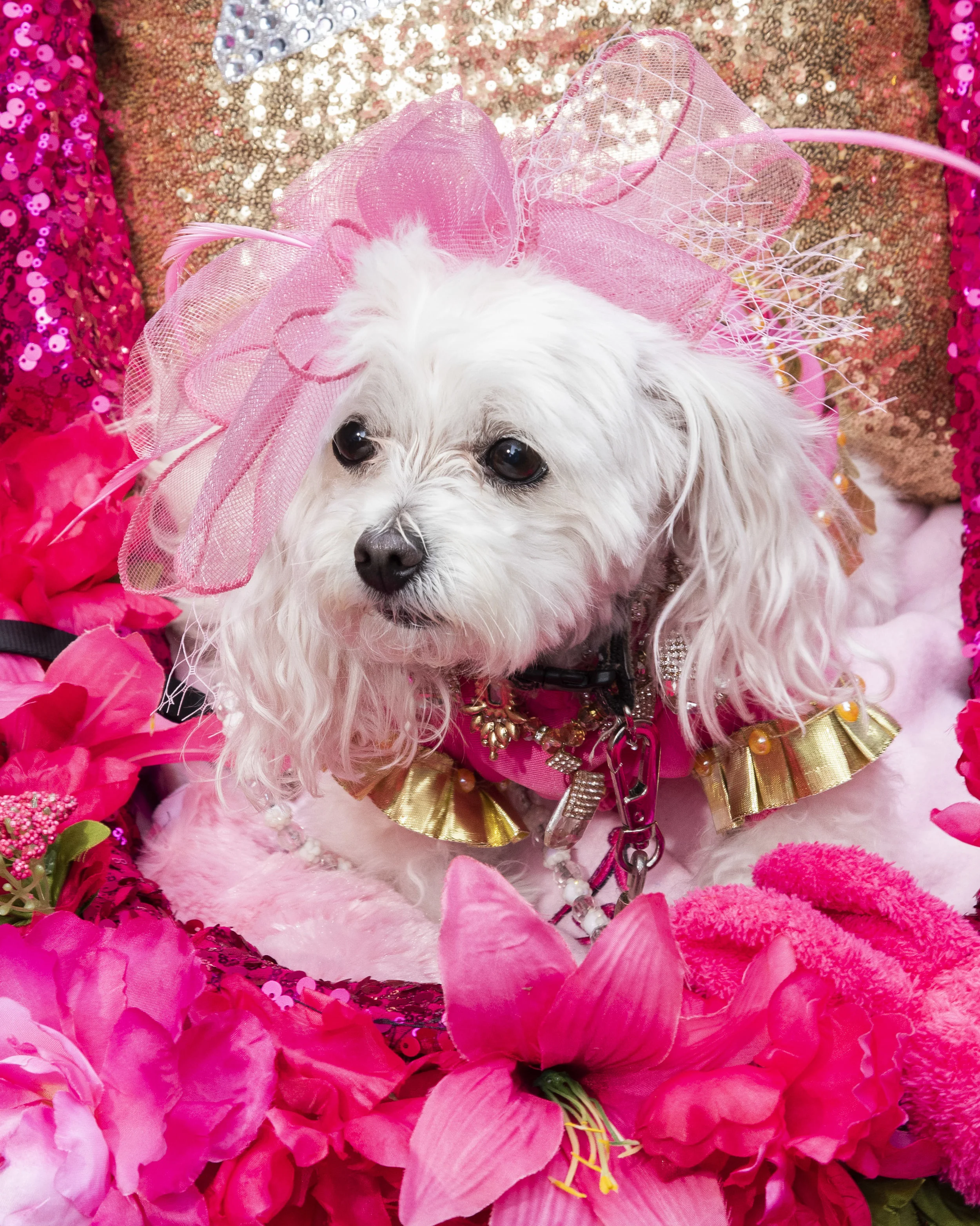 Easter_Parade_Small_02.jpg