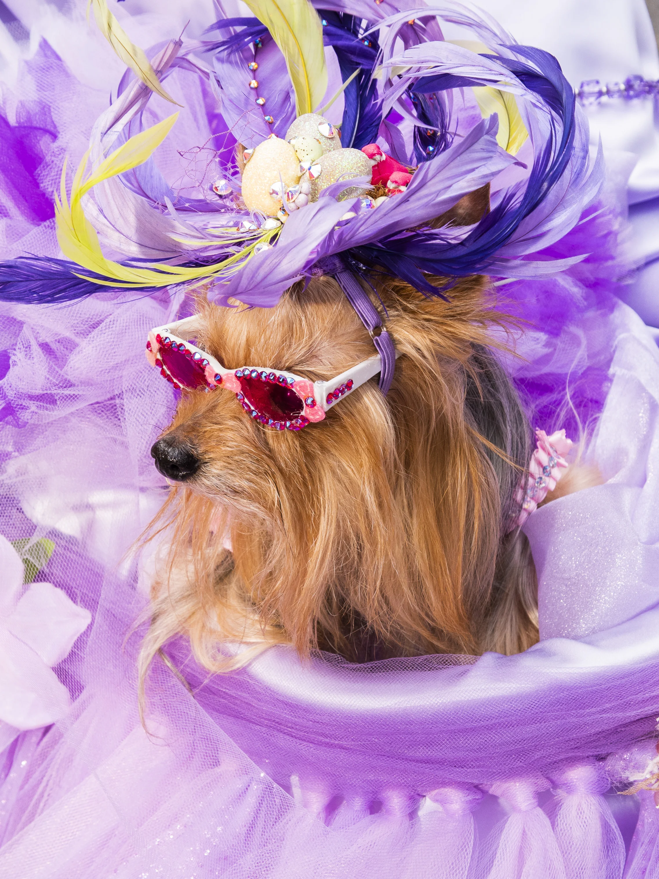 Easter_Parade_Small_18.jpg