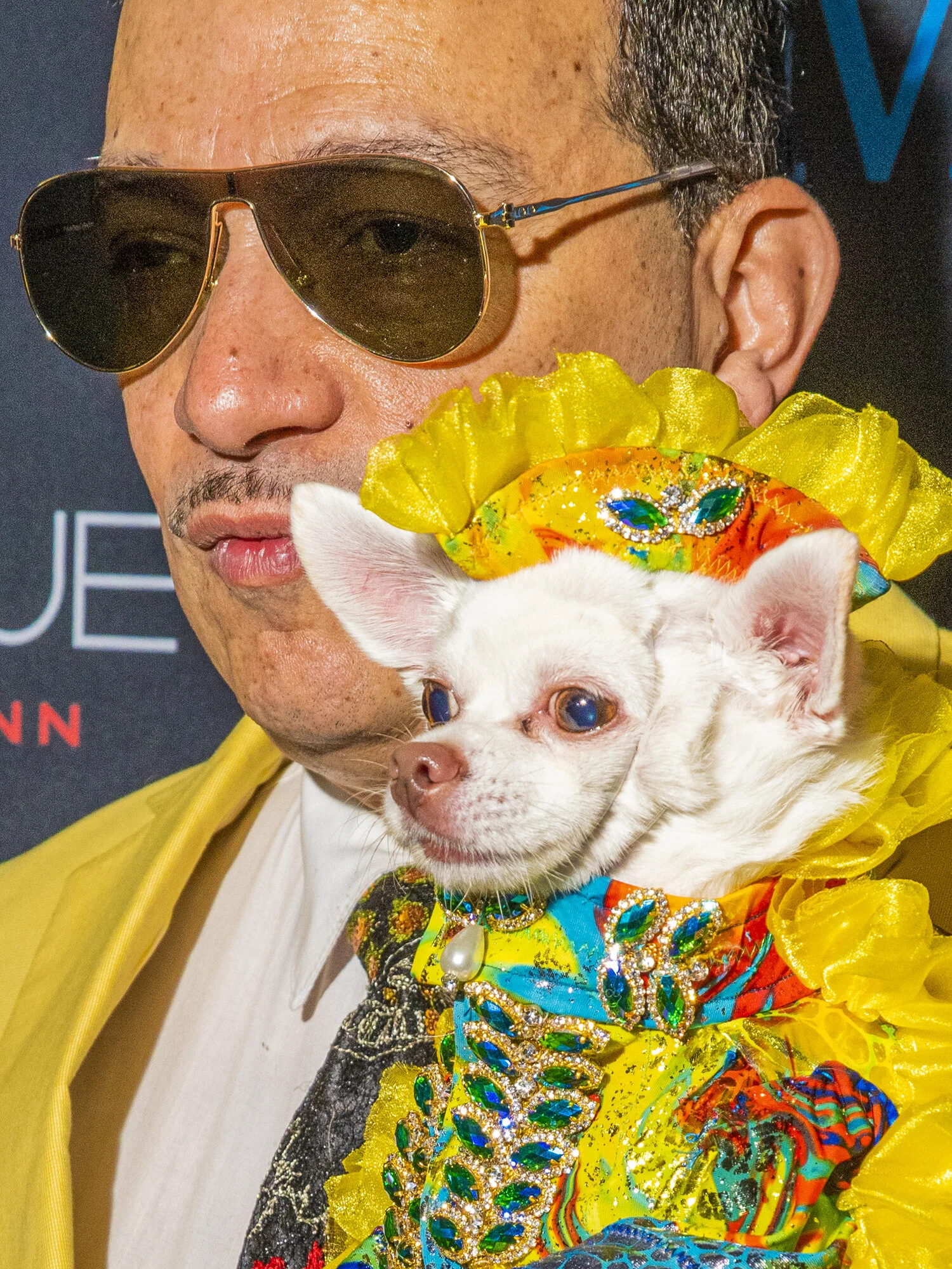dog_fashion_web_07.jpg