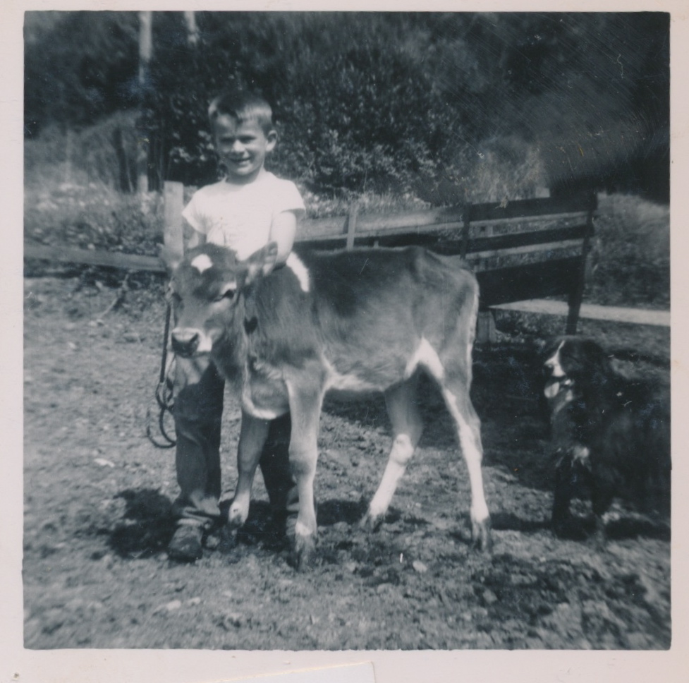 Scan 36.jpeg