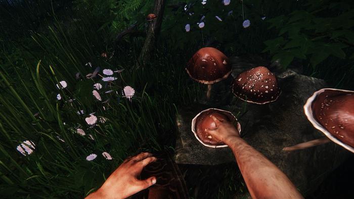 The Druid gathers a mushroom, soon to be crafted into a healing salve.