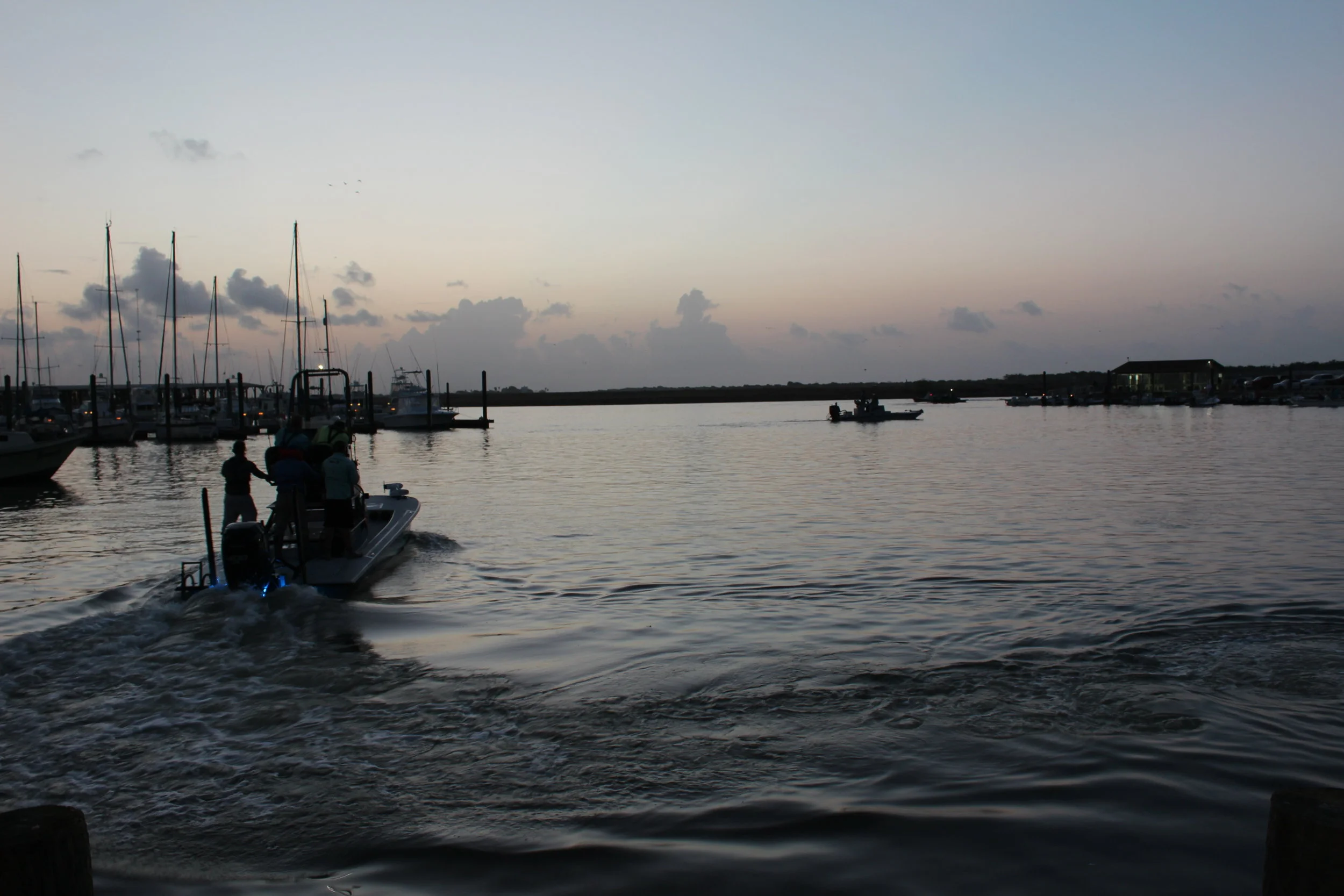 IMG_2433.JPG
