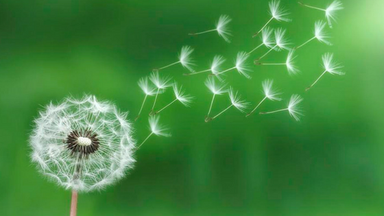 Stop wishing away the days and live each one now